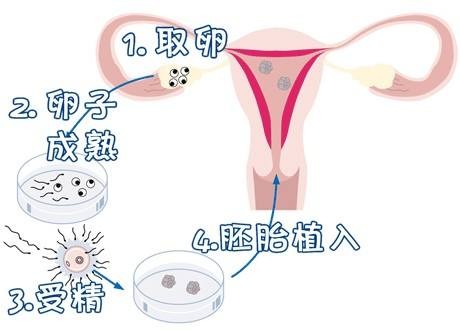 好孕故事